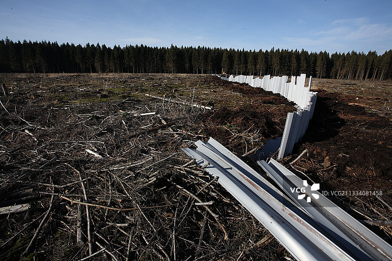比利时泥炭沼泽恢复图片素材