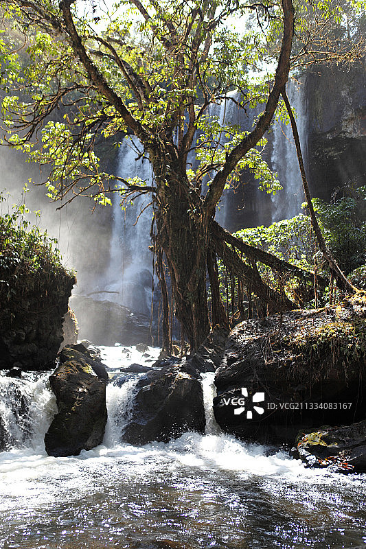 老挝波罗芬高原上的瀑布图片素材