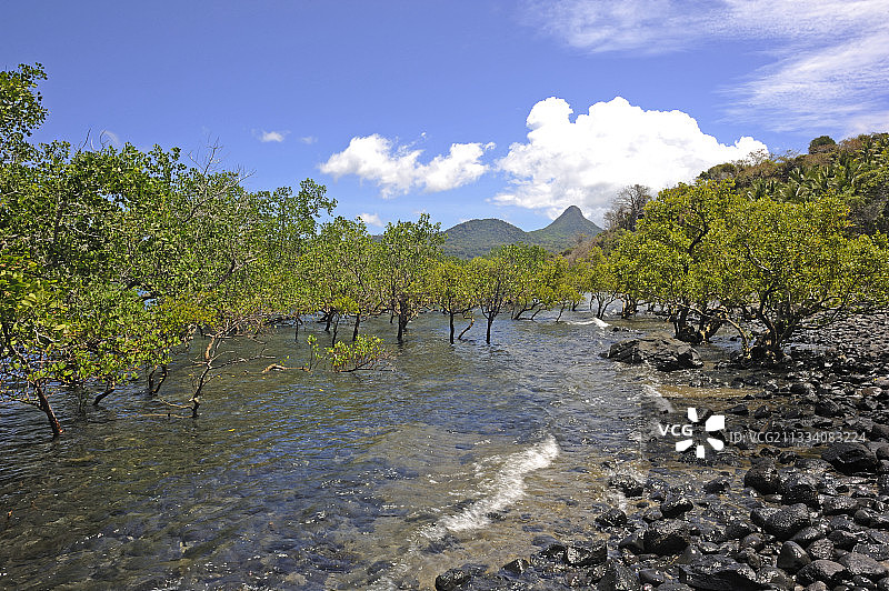 马约特岛达帕尼的红树林和Choungui山图片素材