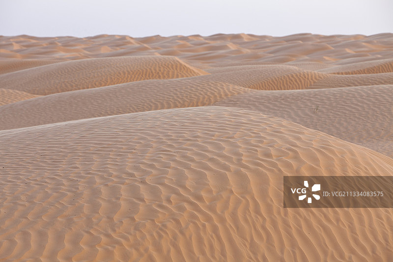 大东方撒哈拉沙漠的沙丘波纹，突尼斯图片素材
