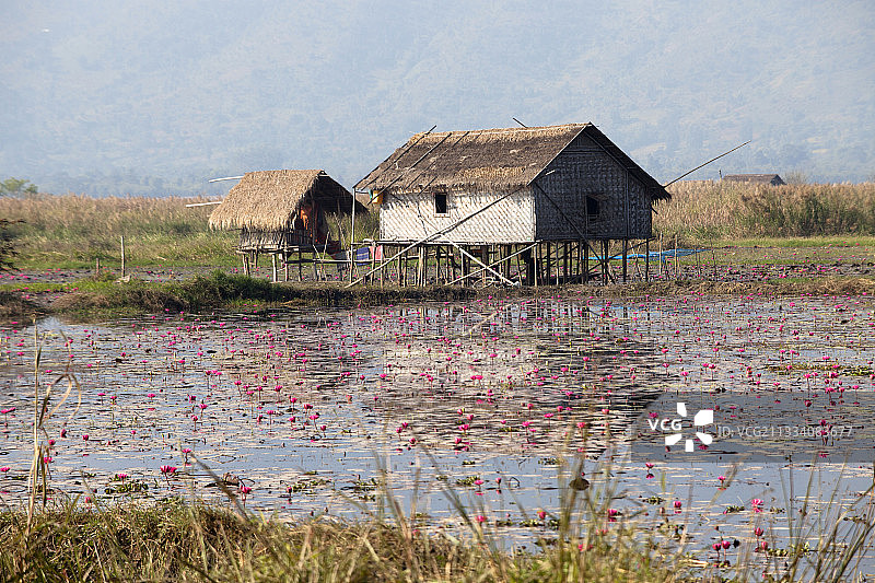 缅甸茵莱湖上的高跷屋图片素材