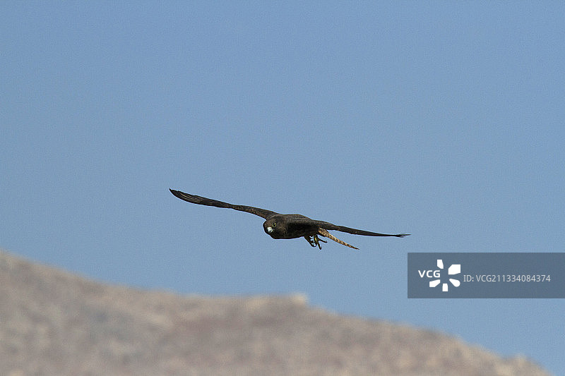 光照阶段图片素材