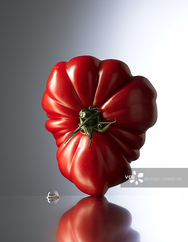 影棚里的番茄牛心图片素材