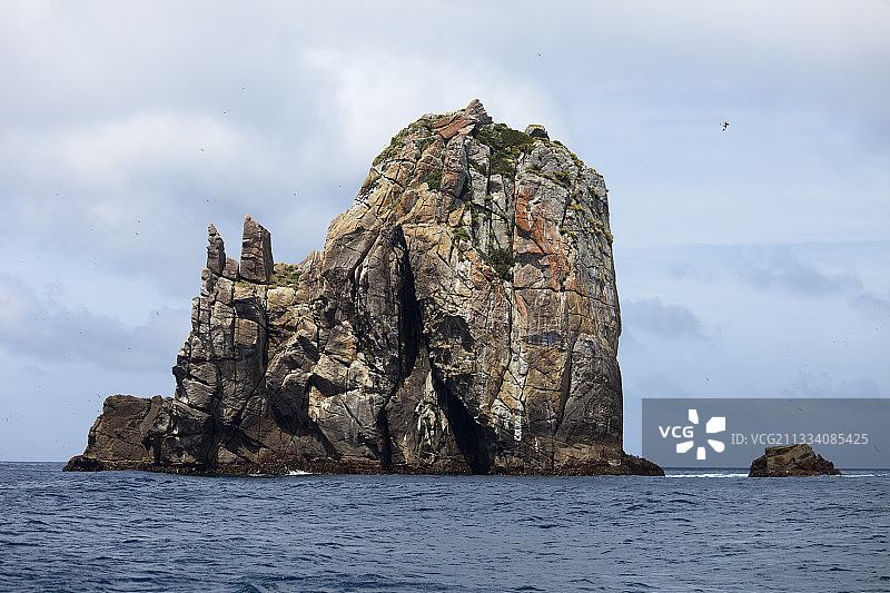 斯奈尔斯群岛，新西兰图片素材