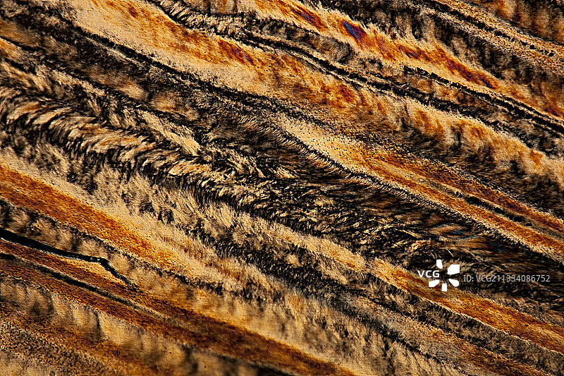 50倍偏振光照明图片素材