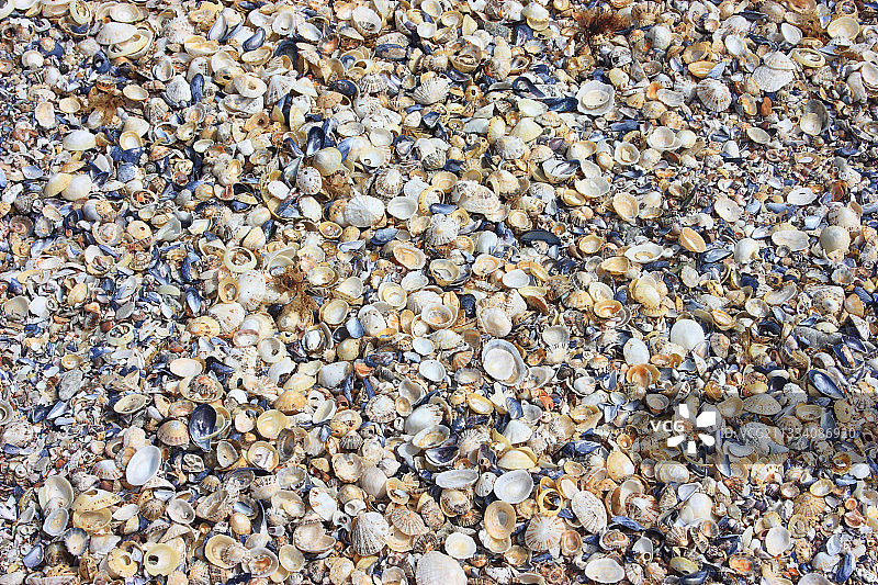 格鲁瓦岛贝壳堆积，法国布列塔尼图片素材