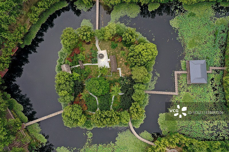 山东枣庄微山湖湿地公园夏日美景图片素材