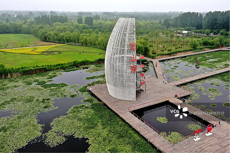 山东枣庄微山湖湿地公园夏日美景图片素材