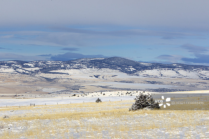 背景是美国蒙大拿州的烟草根山脉图片素材