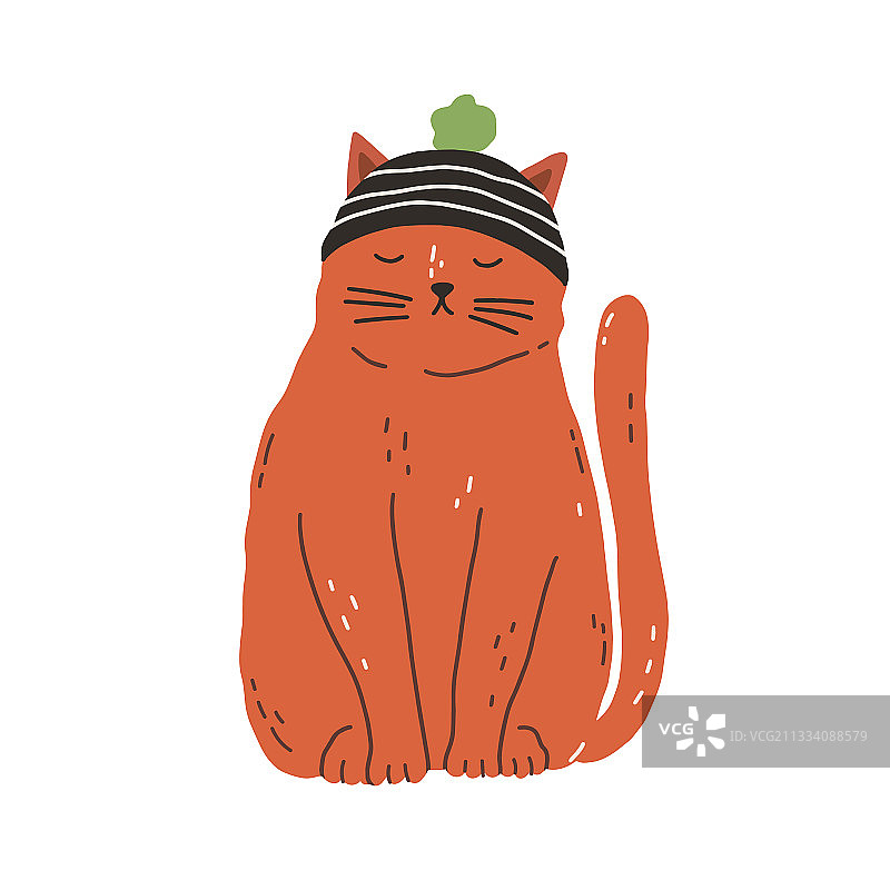 戴针织帽的可爱搞笑姜色猫咪图片素材