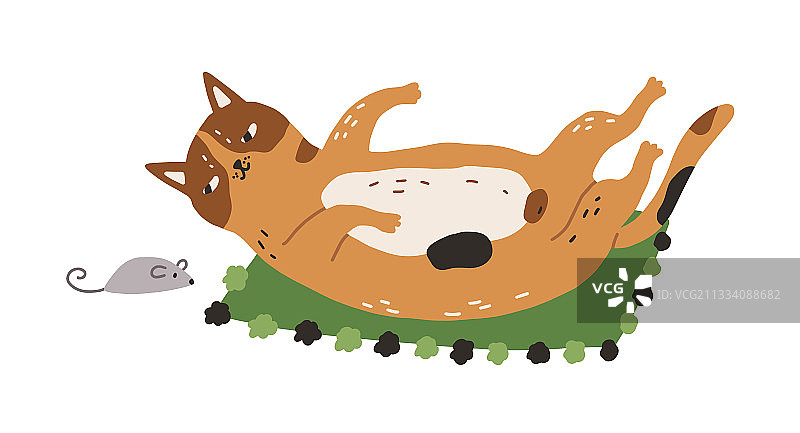 有趣的猫咪仰卧图片素材