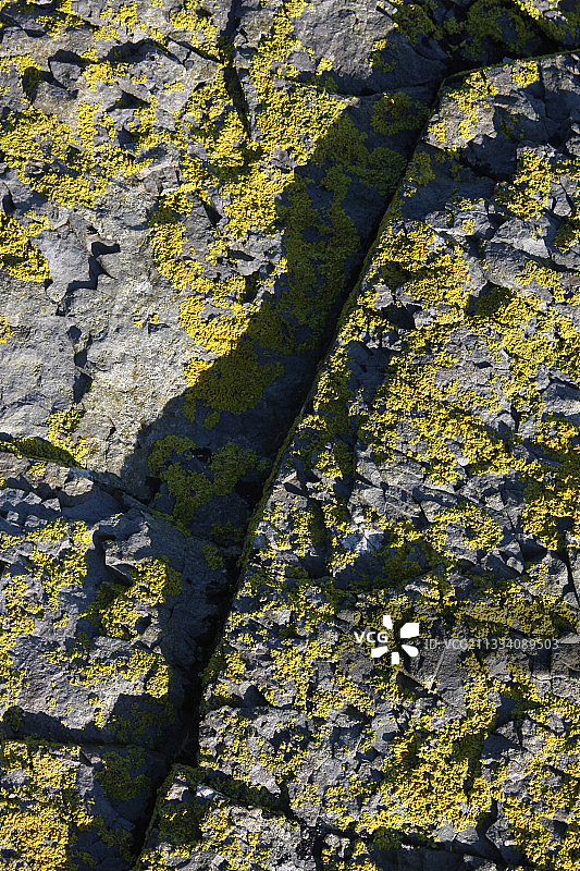 法国布列塔尼砂岩上的黄衣地衣图片素材