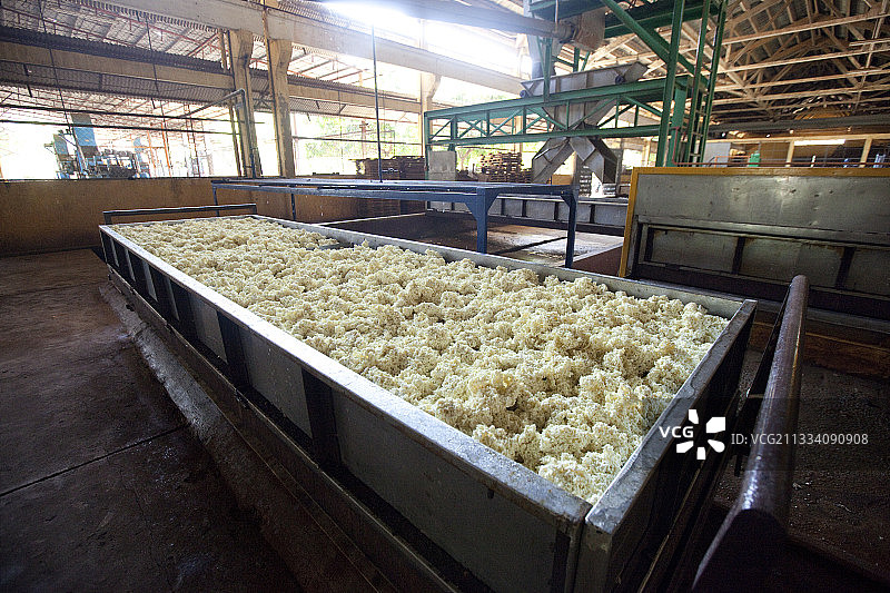 橡胶球乳胶出口处理厂图片素材