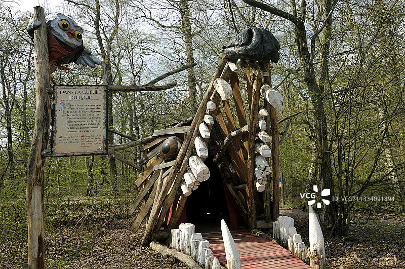 小径上的猎狼图片素材