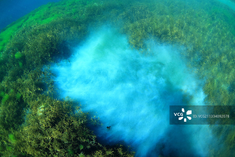产生硫化氢的硫细菌图片素材