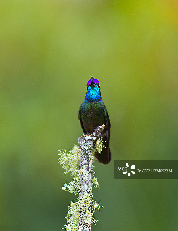 塔拉曼卡山脉图片素材