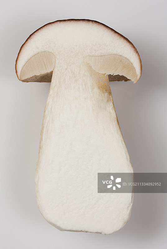 摄影棚里的美味牛肝菌切面图片素材