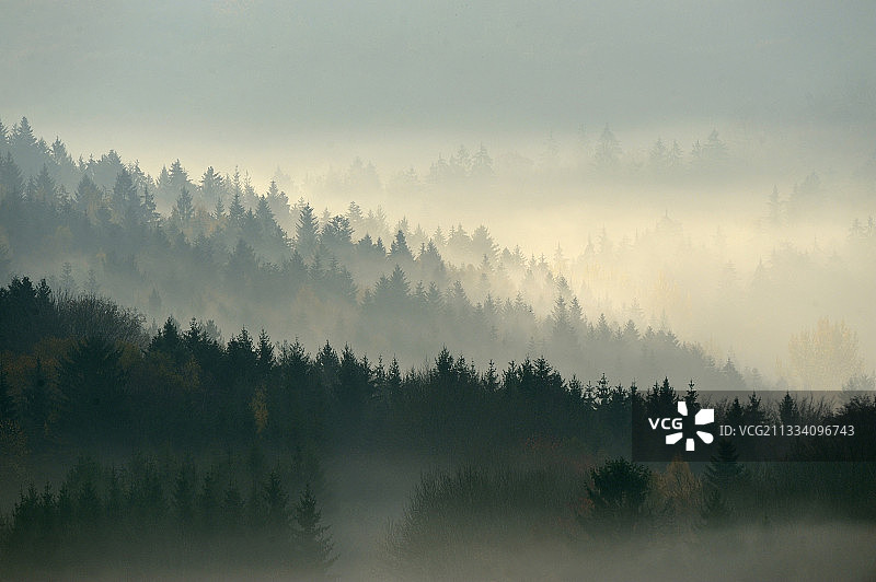 法国孚日森林的秋季早晨薄雾图片素材