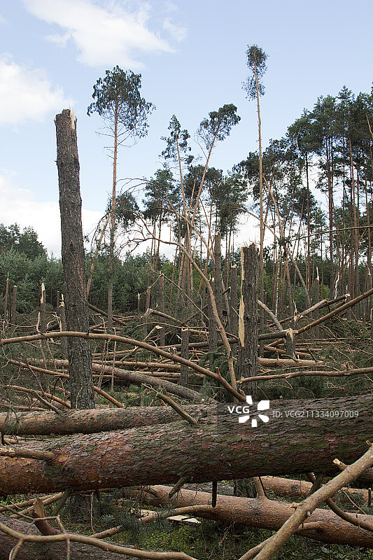 根据波兰信息TVN24连锁报道，龙卷风达到2级，风速接近200公里/小时。图乔拉森林中有550英亩森林被毁。图片素材