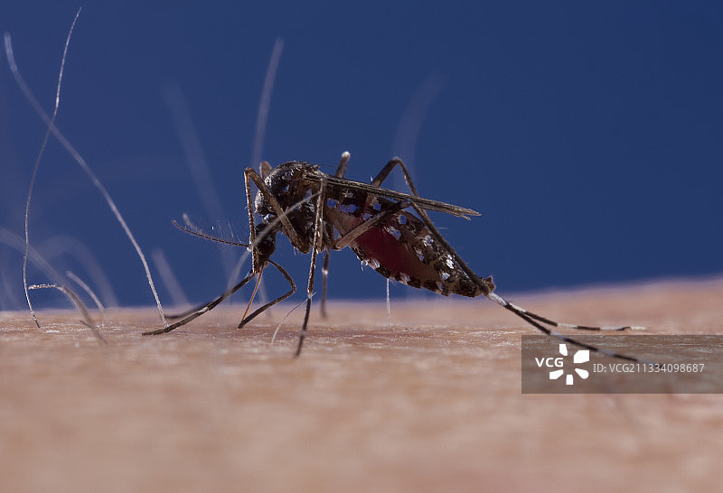 巴斯德研究所图片素材