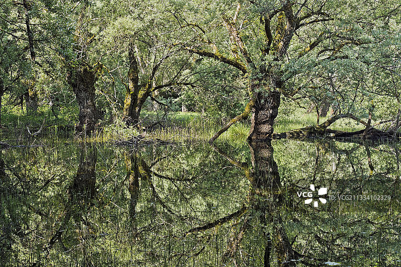 法国比热地区布雷特池塘春景图片素材