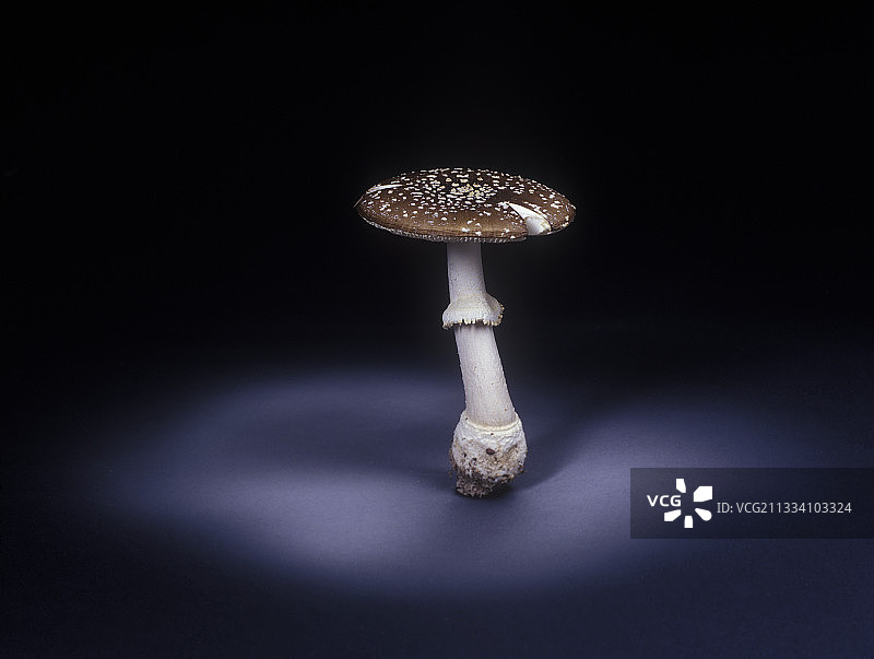 20小时后图片素材