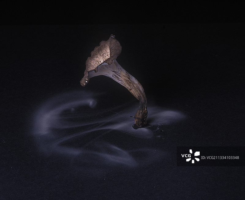 24小时后图片素材