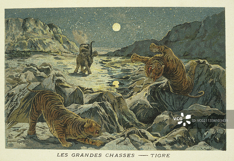 猎虎插画图片素材