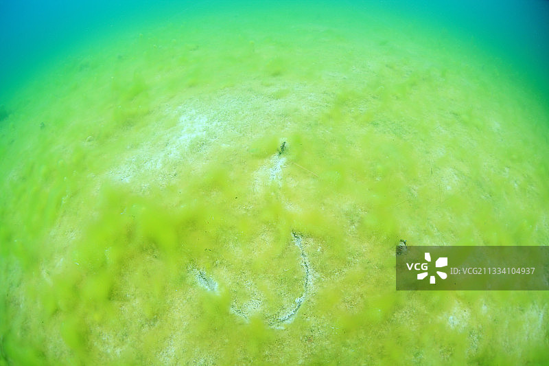 法国伊泽尔湖中，河蚌留下的痕迹图片素材