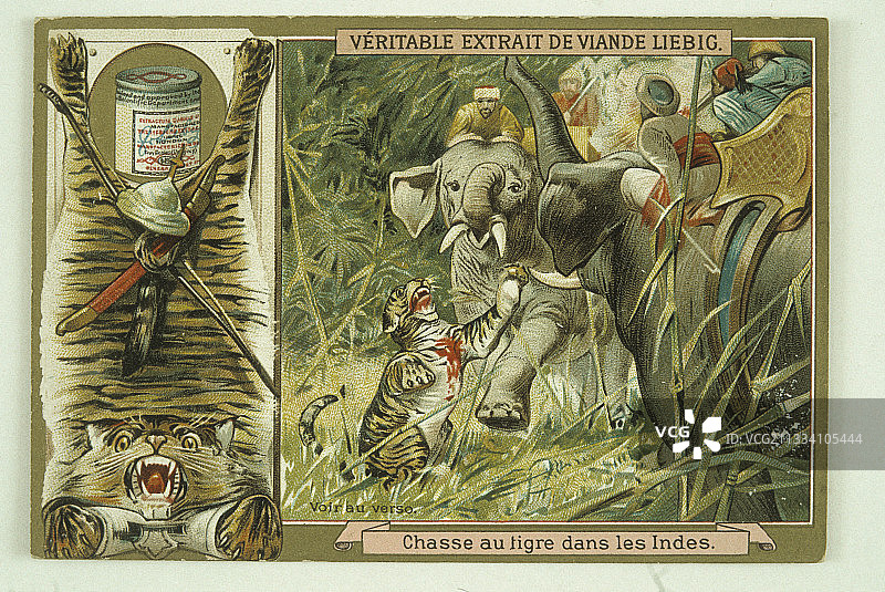 老虎捕猎插画图片素材