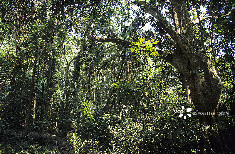 贡贝国家公园图片素材