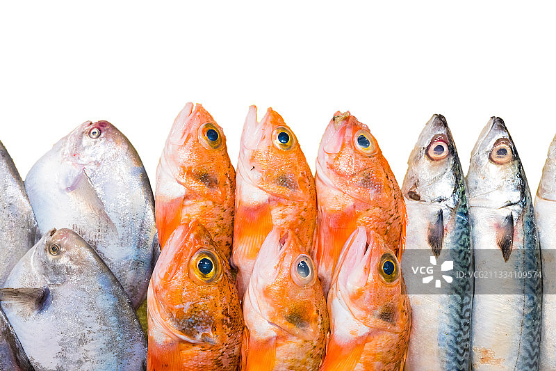 新鲜海鲜鱼类图片素材