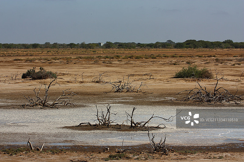 塞内加尔焦杰：微咸沼泽中盐的形成图片素材