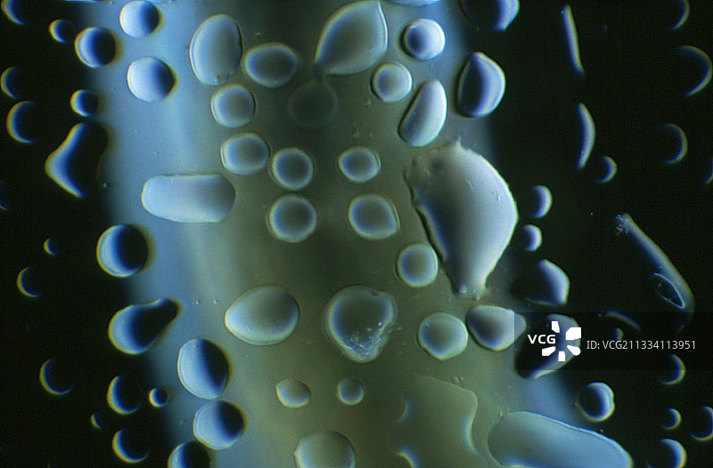 玻璃容器上的冷凝图片素材