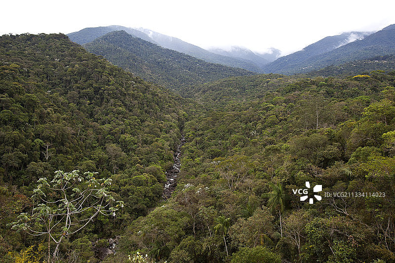 巴西伊塔蒂亚亚国家公园森林景观图片素材