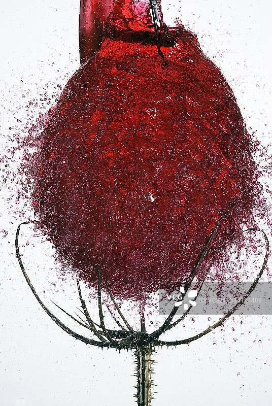 气球爆裂高速摄影图片素材