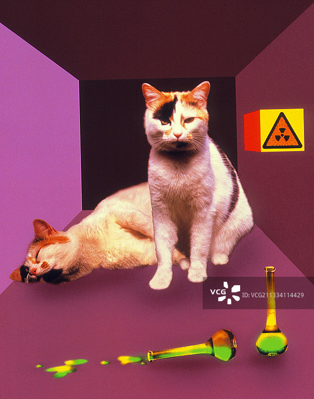 薛定谔的猫实验图片素材