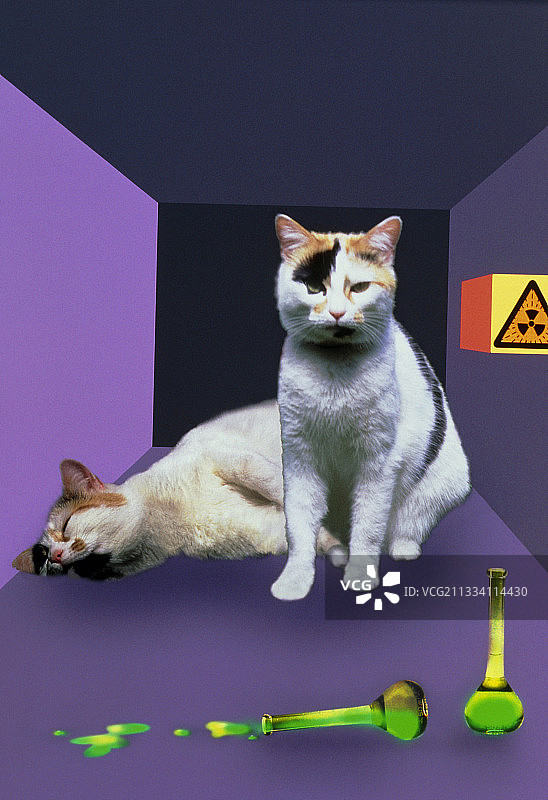 薛定谔的猫实验图片素材