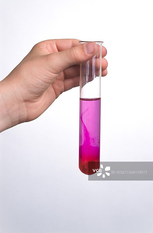 甜菜根染色实验图片素材