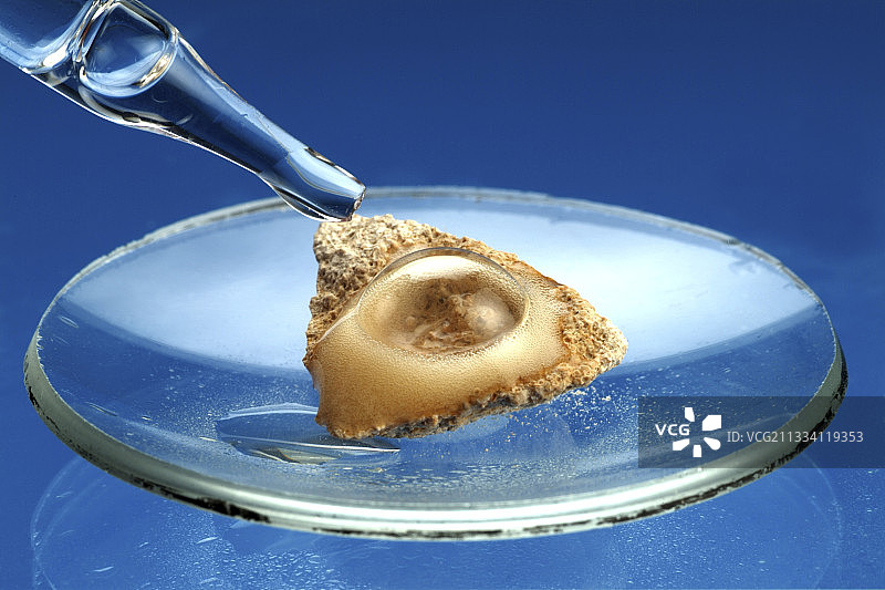 石灰石与酸的反应图片素材