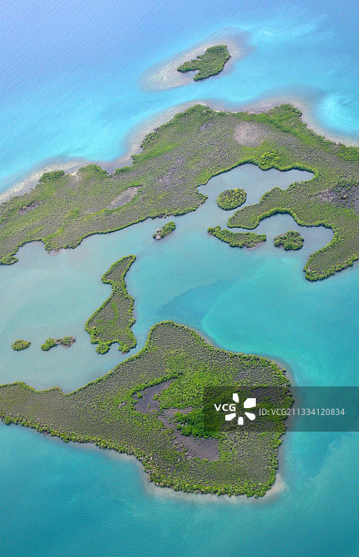 沿着海岸线，海牛的家园图片素材