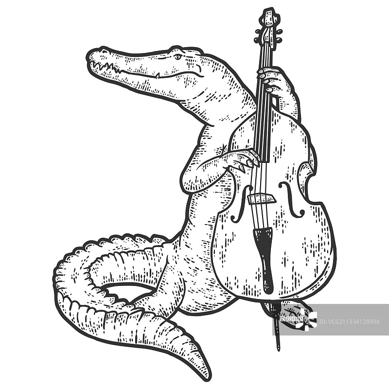 鳄鱼演奏低音提琴素描图片素材