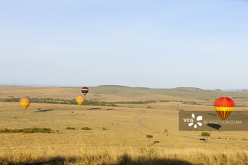 马赛马拉热气球飞越斑马角马群图片素材