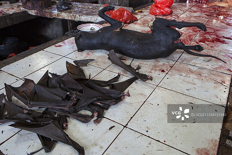 蝙蝠和熏狗肉，托莫洪市场，苏拉威西岛图片素材