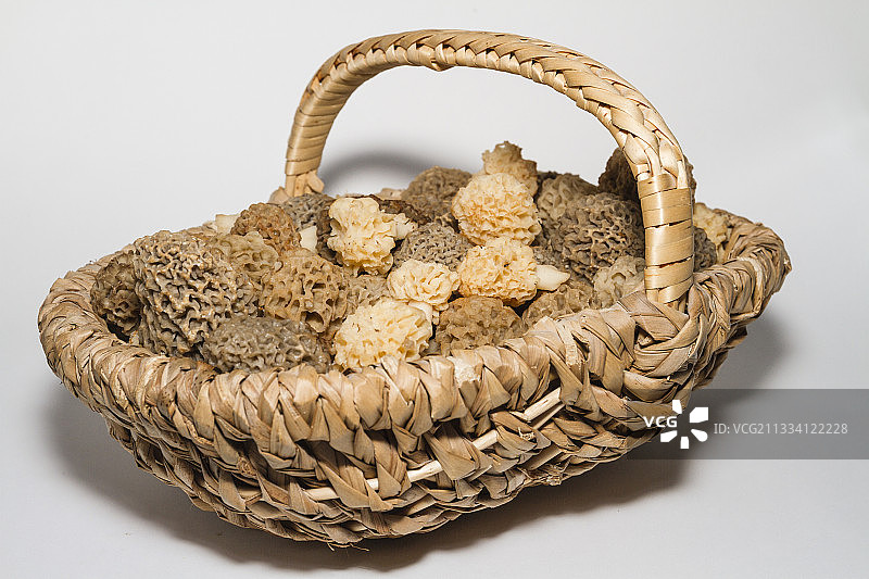 篮子里的经典黄色羊肚菌的收获图片素材