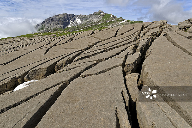 红色砂岩小货币石，始于始新世（第三纪 - 45百万年前）图片素材