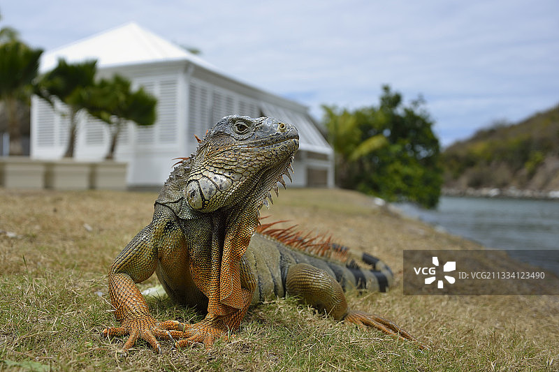 安斯马塞尔酒店外景图片素材