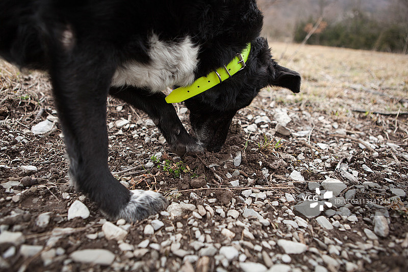 沙特勒斯山麓图片素材