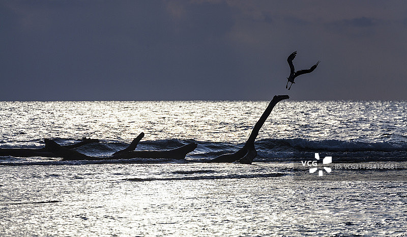 圣布拉斯群岛库纳亚拉巴拿马的阿瓜哈岛海岸图片素材