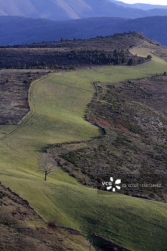 冬季山脉中耕地间的树木图片素材